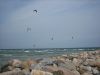  Kitesurfer Bei Hou Havn